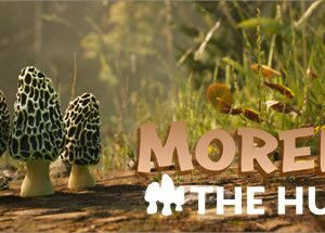 羊肚菌：狩猎/Morels：The Hunt