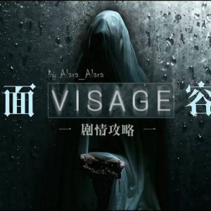 面容/Visage